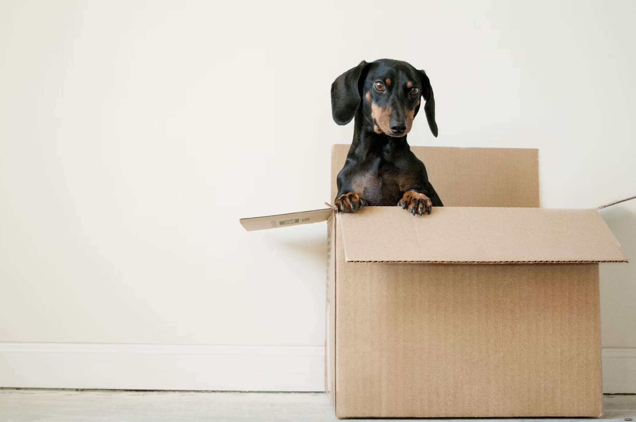Reliable Removalist Services in Goulburn - Checkmate Removals